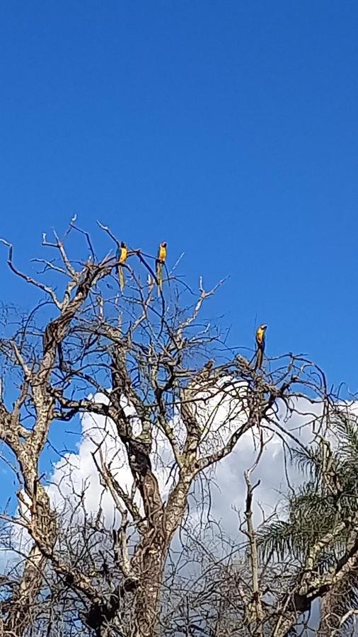 De Assis * Alto Paraiso de Goias